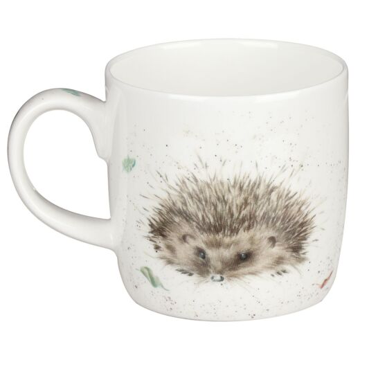 mug hedgehog awakening